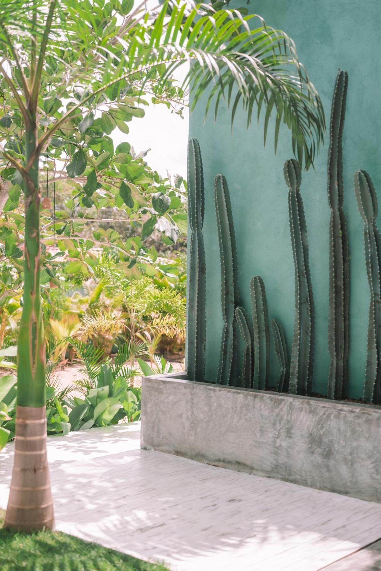Cactus Lodge Pipa Praia de Pipa المظهر الخارجي الصورة