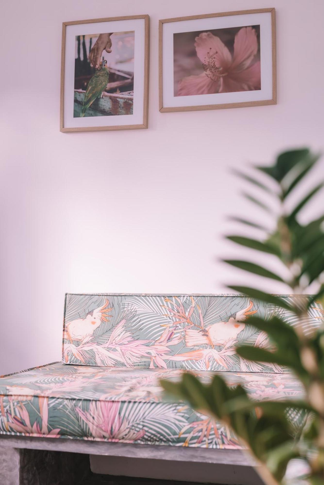 Cactus Lodge Pipa Praia de Pipa المظهر الخارجي الصورة